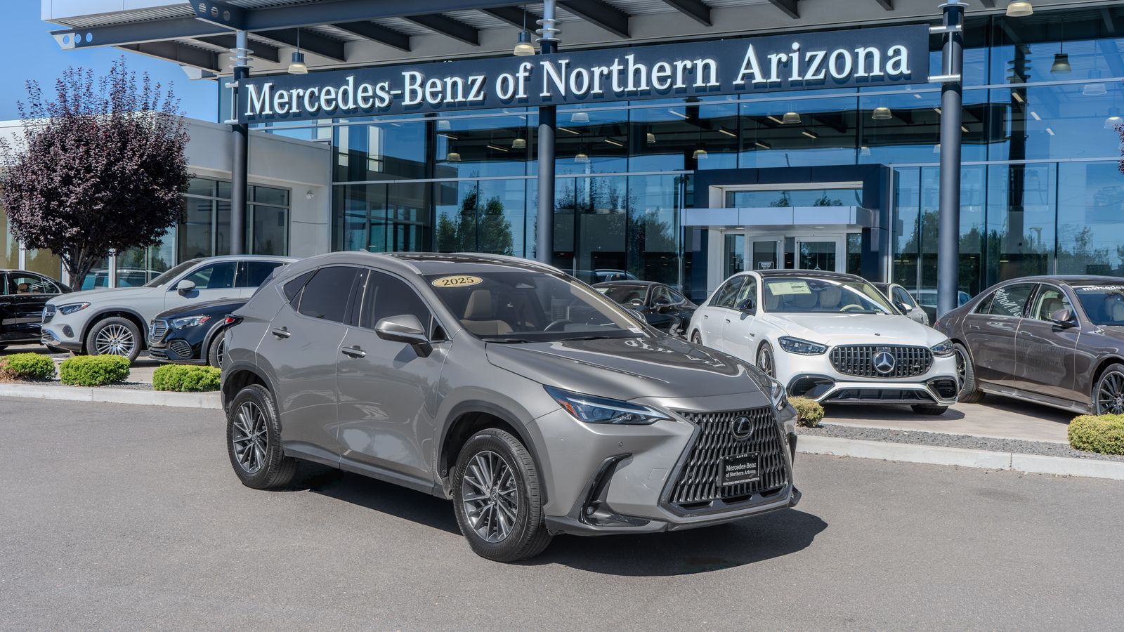 2025 Lexus NX 250 Premium — full photo 1 of 33
