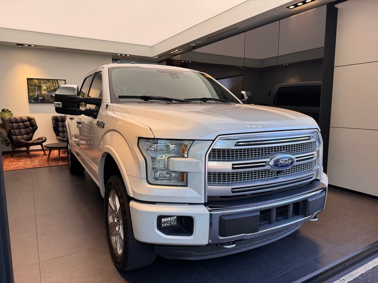 2015 Ford F-150 Platinum — full photo 3 of 10